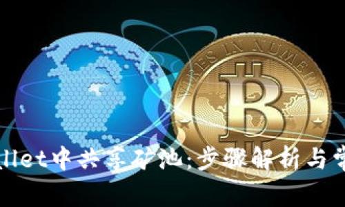 如何在tpWallet中共享矿池：步骤解析与常见问题解答