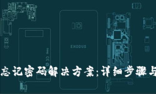 tpWallet忘记密码解决方案：详细步骤与注意事项