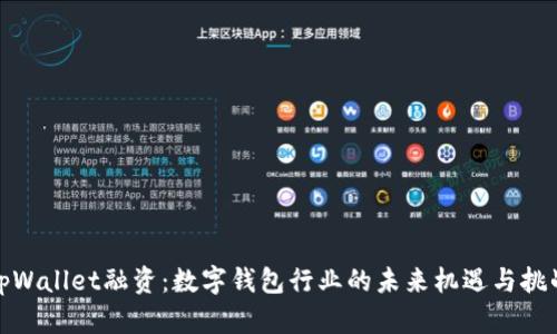 tpWallet融资：数字钱包行业的未来机遇与挑战