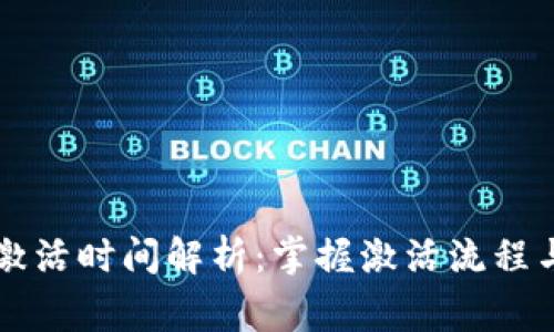 tpWallet激活时间解析：掌握激活流程与注意事项