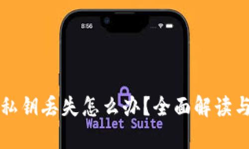 tpWallet私钥丢失怎么办？全面解读与解决方案