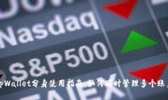 tpWallet分身使用指南：如何同时管理多个账户