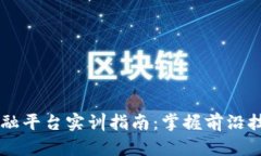 区块链金融平台实训指南：掌握前沿技术与应用