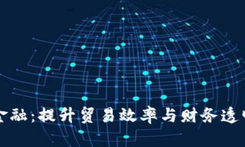 海关区块链金融：提升贸易效率与财务透明度的新纪元