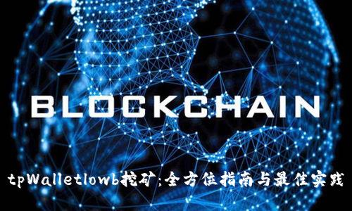 tpWalletlowb挖矿：全方位指南与最佳实践