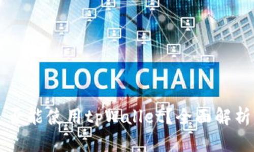 中国地区是否能使用tpWallet？全面解析与使用指南
