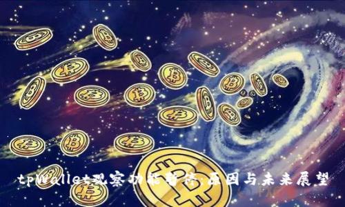 tpWallet观察功能暂停：原因与未来展望