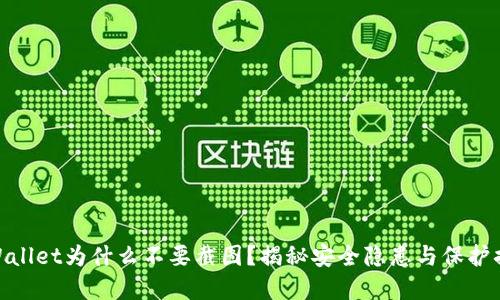 tpWallet为什么不要截图？揭秘安全隐患与保护措施