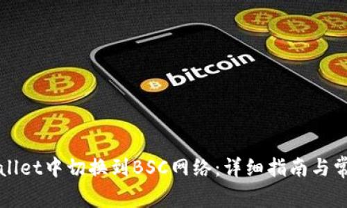 如何在tpWallet中切换到BSC网络：详细指南与常见问题解答