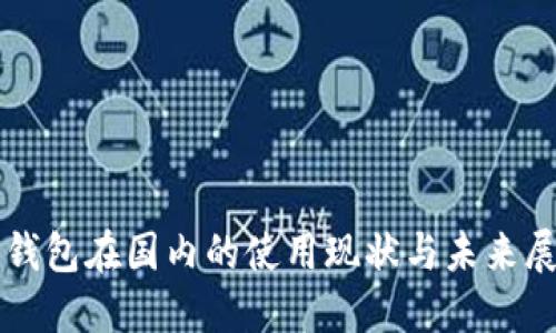 TP钱包在国内的使用现状与未来展望