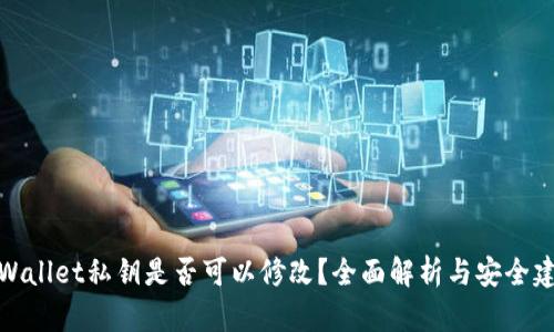 tpWallet私钥是否可以修改？全面解析与安全建议