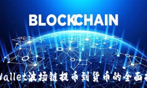   
tpWallet波场链提币到货币的全面指南