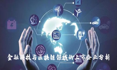 金融科技与区块链领域的上市企业分析