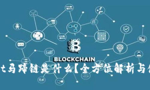 tpWallet马蹄链是什么？全方位解析与使用指南