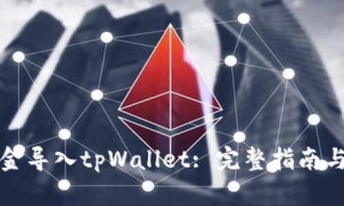 如何将资金导入tpWallet: 完整指南与实用技巧