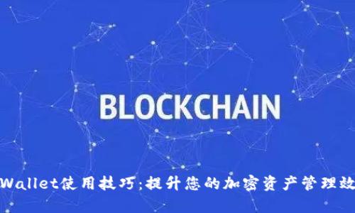 tpWallet使用技巧：提升您的加密资产管理效率