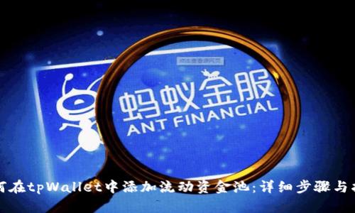 如何在tpWallet中添加流动资金池：详细步骤与指南
