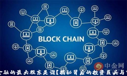 
区块链金融的最大股东是谁？揭秘背后的投资巨头与市场趋势