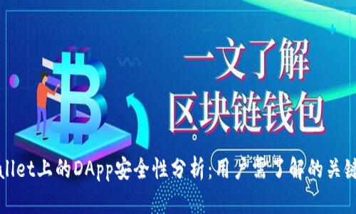 tpWallet上的DApp安全性分析：用户需了解的关键因素