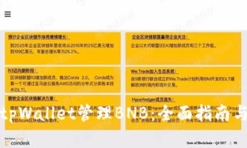如何通过tpWallet管理BNB：全面指南与实用技巧