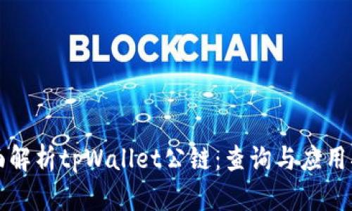 全面解析tpWallet公链：查询与应用指南