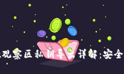 : tpWallet观察区私钥导出详解：安全高效的步骤