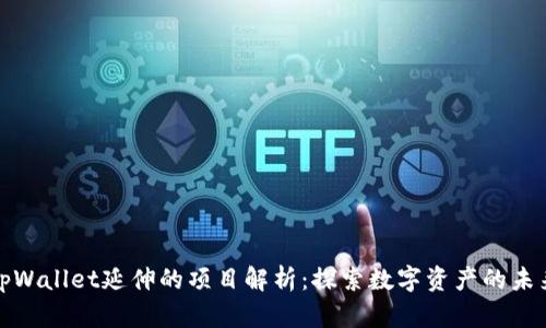 tpWallet延伸的项目解析：探索数字资产的未来