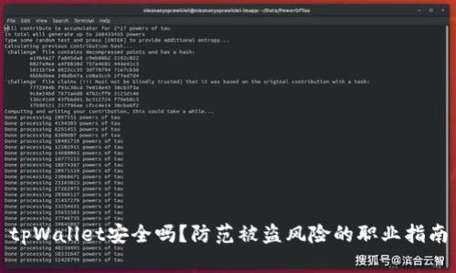 tpWallet安全吗？防范被盗风险的职业指南