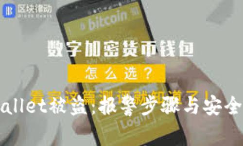 如何应对tpWallet被盗：报警步骤与安全措施全面指南