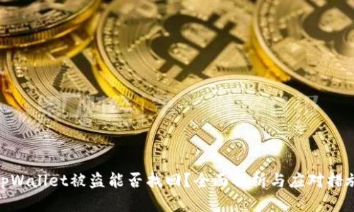 tpWallet被盗能否找回？全面解析与应对措施