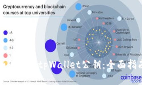 如何查看tpWallet公钥：全面指南
