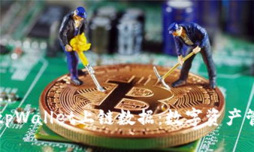 深入解析tpWallet上链数据：数字资产管理的未来