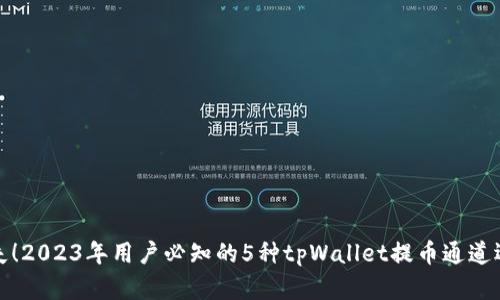 避免损失！2023年用户必知的5种tpWallet提币通道选择技巧