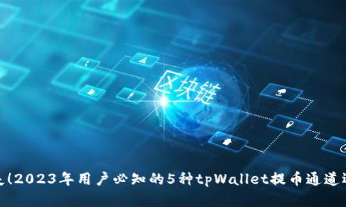 避免损失！2023年用户必知的5种tpWallet提币通道选择技巧