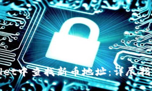 如何在tpWallet中查找新币地址：详尽指南与实用技巧