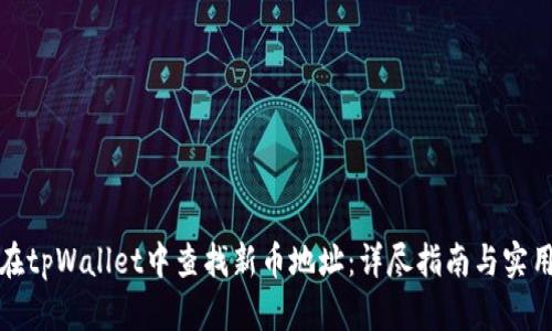 如何在tpWallet中查找新币地址：详尽指南与实用技巧