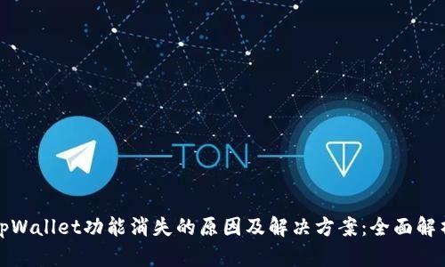tpWallet功能消失的原因及解决方案：全面解析