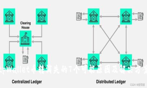 tpWallet币转消失的7个可能原因及解决方案