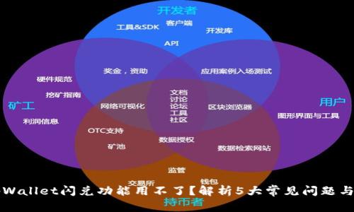 为什么tpWallet闪兑功能用不了？解析5大常见问题与解决方案