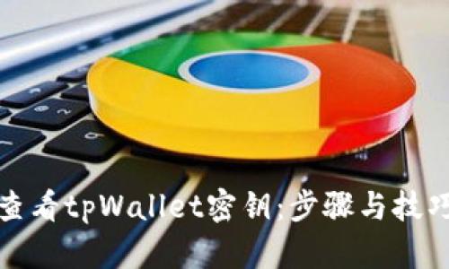 如何查看tpWallet密钥：步骤与技巧详解