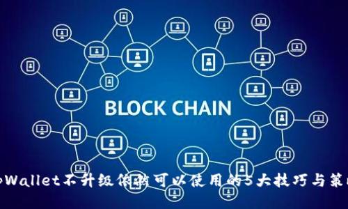tpWallet不升级依然可以使用的5大技巧与策略