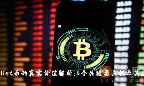 TPWallet币的真实价值解析：6个关键要点揭示其虚假性