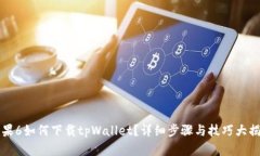 苹果6如何下载tpWallet？详细步骤与技巧大揭秘
