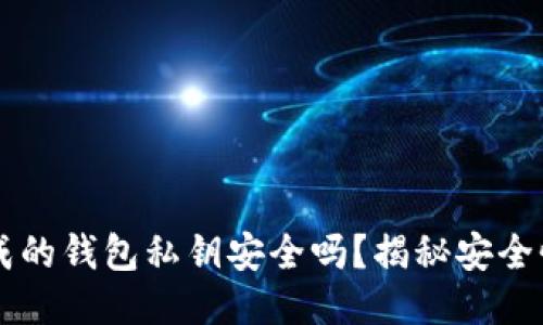 TPWallet生成的钱包私钥安全吗？揭秘安全性与保护技巧