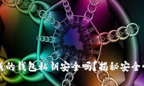 TPWallet生成的钱包私钥安全吗？揭秘安全性与保护技巧
