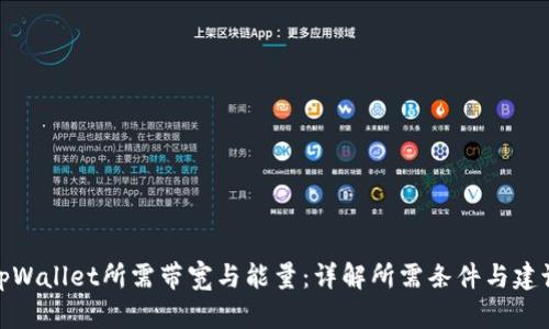 tpWallet所需带宽与能量：详解所需条件与建议