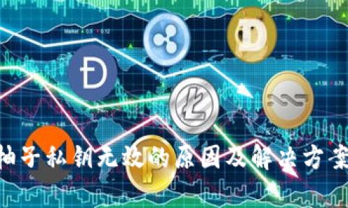 tpWallet柚子私钥无效的原因及解决方案：深入剖析
