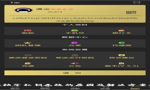 tpWallet柚子私钥无效的原因及解决方案：深入剖析