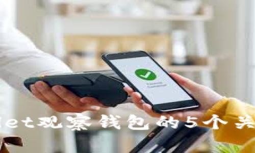 深入探讨tpWallet观察钱包的5个关键特性与优缺点