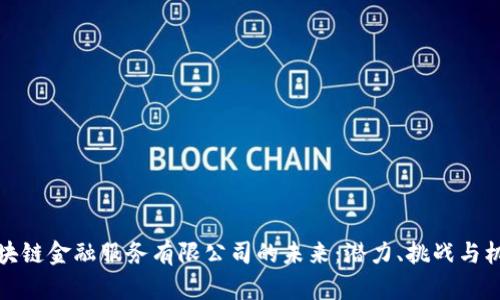 区块链金融服务有限公司的未来：潜力、挑战与机遇